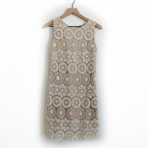 Eliza J Cream / Ivory Lace Dress